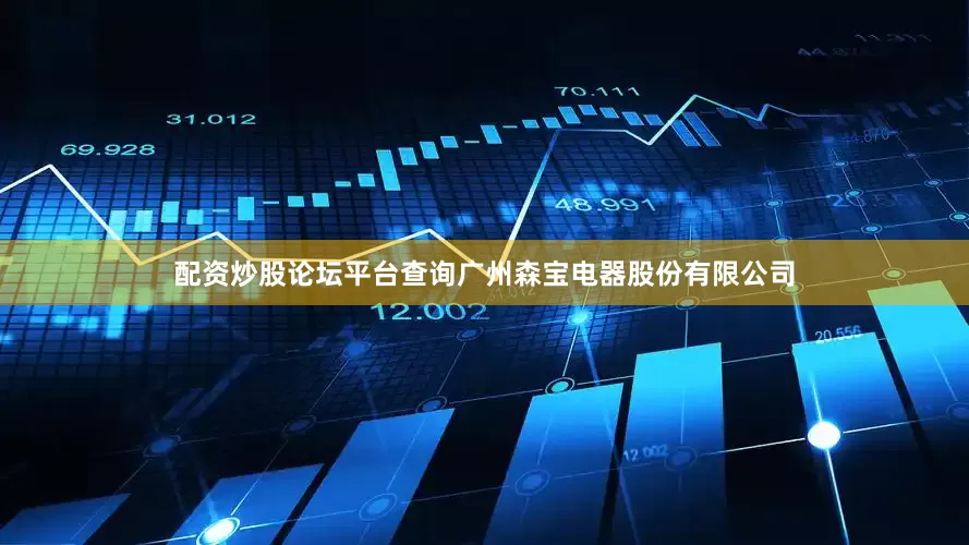 配资炒股论坛平台查询广州森宝电器股份有限公司