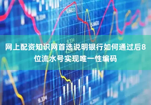 网上配资知识网首选说明银行如何通过后8位流水号实现唯一性编码